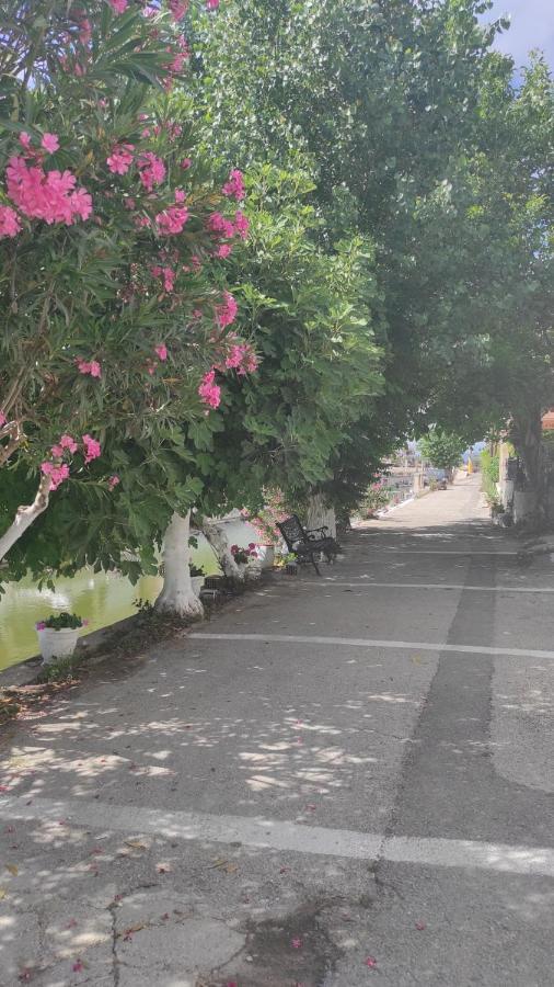 Potami Studios Λευκίμμη Εξωτερικό φωτογραφία